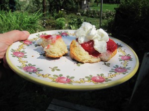 Scones 004